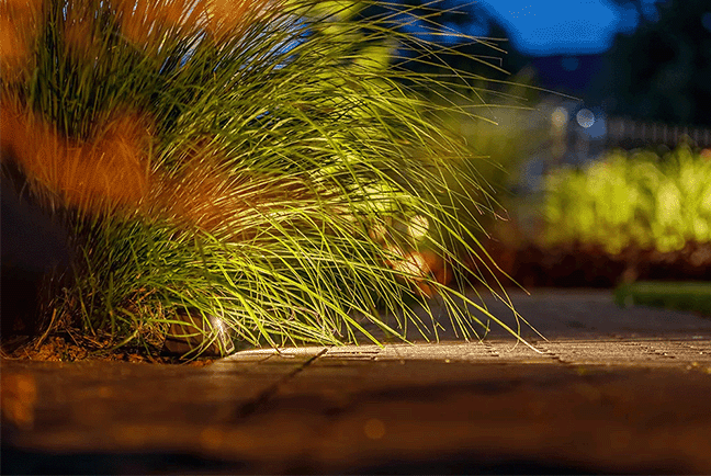 Dynteq_Techmar_Lightpro_Tiga_DL_12v_grond_2kol