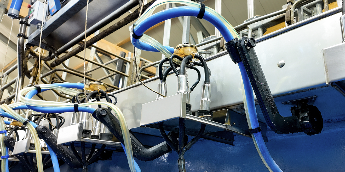 Dynteq_ BouMatic_EZ-arm_in gebruikname-4_1kol