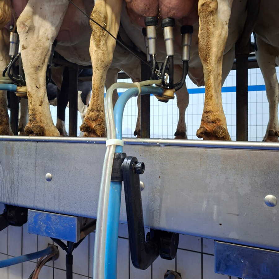 Dynteq_BouMatic_EZ-Arm_vk